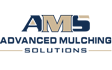 AMS Logo